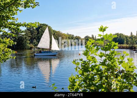 A lone yacht gently sailing on the River Thames at Shepperton on a late sunny  summers day, Surrey England UK Stock Photo