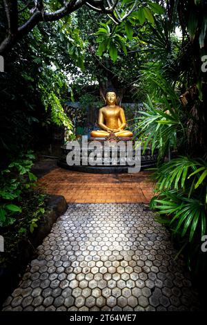 A Buddhist temple in the evening in the rain. The Brahmavihara Arama Temple has beautiful gardens and is also home to a monastery. Tropical plants Stock Photo