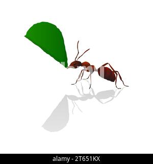 Brown ant holding a green leaf, isolated vector illustration Stock Vector