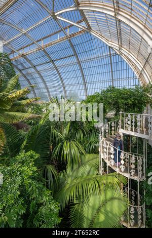 Cast-iron spiral staircase, Palm House, oldest Victorian greenhouse in the world, Royal Botanic Gardens, Kew, London, England, Great Britain Stock Photo