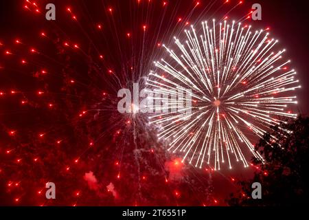 Fireworks exploding against the night sky Stock Photo