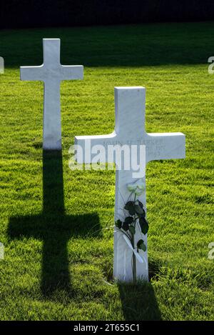 White cross on WW2 soldier’s grave at the Henri-Chapelle American Cemetery and Memorial, Second World War military cemetery, Liège, Ardennes, Belgium Stock Photo