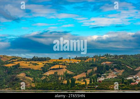 Meadows at Canal Dalcahue, Chiloe Island, Chile Stock Photo