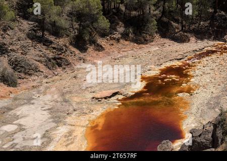 Landscape with the Tinto (red) river taht flows through pine forest and originates in the Riotinto mines. Huelva, Andalucia, Spain. Stock Photo