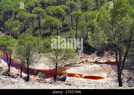 Landscape with the Tinto (red) river taht flows through pine forest and originates in the Riotinto mines. Huelva, Andalucia, Spain. Stock Photo