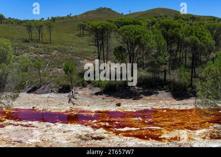 Landscape with the Tinto (red) river taht flows through pine forest and originates in the Riotinto mines. Huelva, Andalucia, Spain. Stock Photo