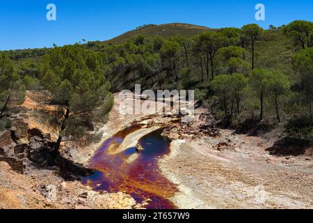 Landscape with the Tinto (red) river taht flows through pine forest and originates in the Riotinto mines. Huelva, Andalucia, Spain. Stock Photo