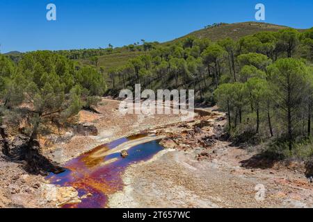 Landscape with the Tinto (red) river taht flows through pine forest and originates in the Riotinto mines. Huelva, Andalucia, Spain. Stock Photo