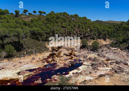 Landscape with the Tinto (red) river taht flows through pine forest and originates in the Riotinto mines. Huelva, Andalucia, Spain. Stock Photo