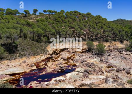 Landscape with the Tinto (red) river taht flows through pine forest and originates in the Riotinto mines. Huelva, Andalucia, Spain. Stock Photo