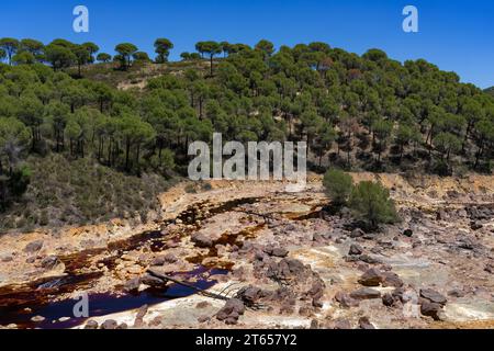 Landscape with the Tinto (red) river taht flows through pine forest and originates in the Riotinto mines. Huelva, Andalucia, Spain. Stock Photo