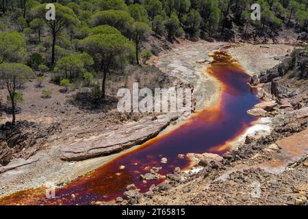 Landscape with the Tinto (red) river taht flows through pine forest and originates in the Riotinto mines. Huelva, Andalucia, Spain. Stock Photo