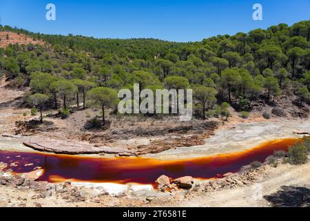 Landscape with the Tinto (red) river taht flows through pine forest and originates in the Riotinto mines. Huelva, Andalucia, Spain. Stock Photo