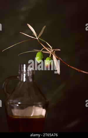a couple of olives on a branch Stock Photo