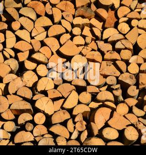 Pile of dry chopped fire wood Stock Photo