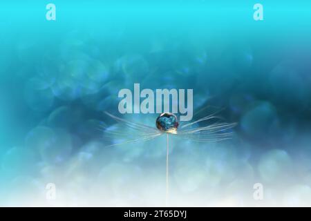 Beautiful Nature Background.Floral Art Design.Abstract Macro Photography.Pastel Flower.Dandelion Flowers.Blue Background.Creative Artistic Wallpaper. Stock Photo