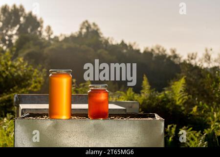 Two jars of ecological and healthy honey, one large and one small, on a hive in the light of an autumn sunset Stock Photo