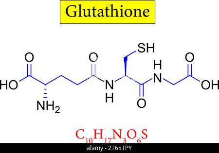 liposomal glutathione how long to work Liposomal Glutathione for Anti-Aging liposomal glutathione how long to work Liposomal Glutathione for Anti-Aging