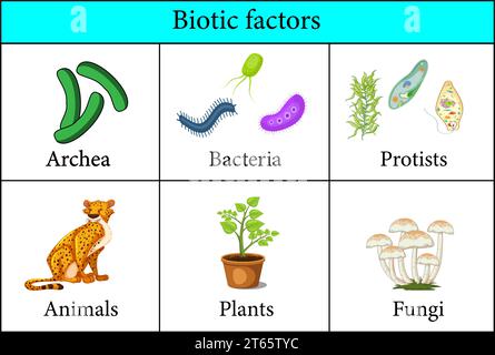 Biotic Factors in the Environment.Vector illustration Stock Vector