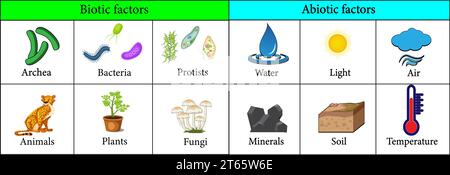Biotic and Abiotic Factors in the Environment.Vector illustration Stock Vector