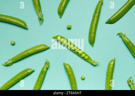 Open and closed pods of fresh green peas, scattered grains of organic peas on a green background, top view, studio photo. Vegetable protein Stock Photo