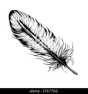 Decorative bird feather in simple style. sketch vector hand drawn designs. Stock Vector