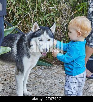 Haifa, Israel - October 22, 2023: Child pets Laika dog on the street in the park. Stock Photo