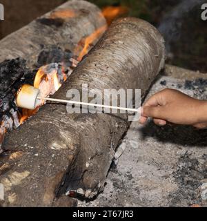 Toasting marshmallows on a log fire Stock Photo