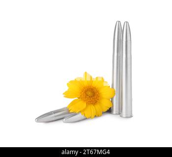 Bullets and beautiful flower isolated on white Stock Photo