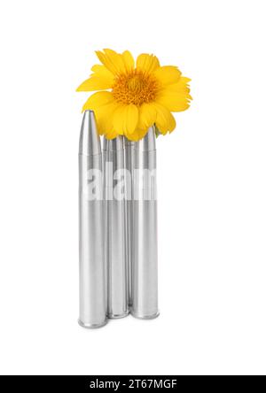 Bullets and beautiful flower isolated on white Stock Photo