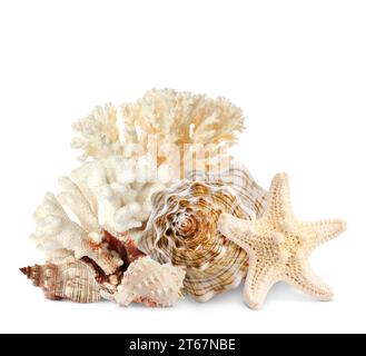 Sea star, shells and corals isolated on white Stock Photo