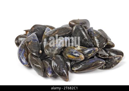 pile of raw mussels, close-up, isolated on a white background Stock Photo
