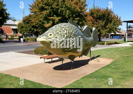 Tocumwal, New South Wales, Australia, Big things Australia, a model of the Iconic Murray Cod on the Banks of the Murray River Stock Photo