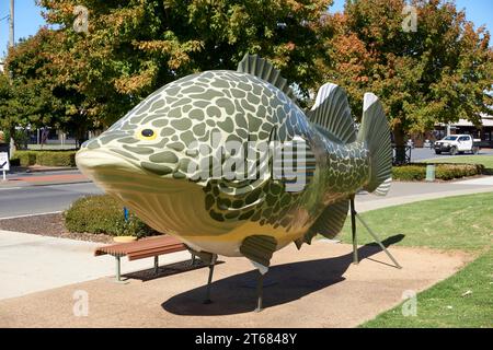 Tocumwal, New South Wales, Australia, Big things Australia, a model of the Iconic Murray Cod on the Banks of the Murray River Stock Photo