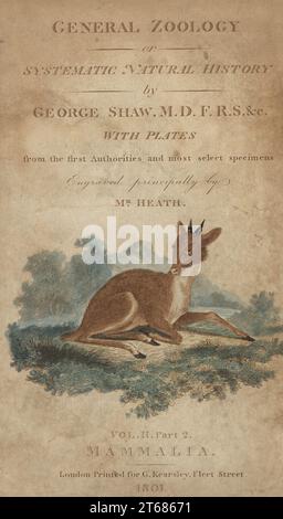 Title page with vignette of a deer fawn by Dr. George Shaw engraved by James Heath. Handcoloured copperplate engraving by James Heath from George Shaws General Zoology: Mammalia, Thomas Davison, London, 1801. Stock Photo