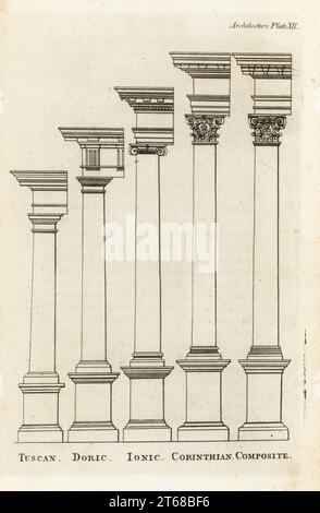 Columns and capitals of the Tuscan, Doric, Ionic, Corinthian and Composite orders. Comparison of proportions, elevation, column taper, and degree of ornament. Copperplate engraving from Francis Fitzgeralds The Artists Repository and Drawing Magazine, Charles Taylor, London, 1785. Stock Photo