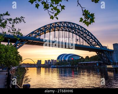 Stnning dawn shot of Tyne and Millenium Bridges with Gateshead Sage Centre, frames by tree Stock Photo