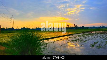 A stunning shot of a vast and expansive blue sky filled with billowing white clouds, hovering over a lush, green field Stock Photo