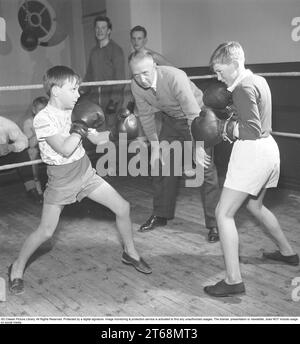 Boxing in the 1950s. Two young boxers facing each other in the ring, both wearing boxing gloves. A man acting as a referee is seen standing keeping an eye on them. Sweden 1954 Kristoffersson ref BO16-12 Stock Photo