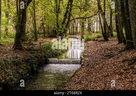 Tehidy stream flowing over cascades in Tehidy Woods Country Park in Cornwall in the UK. Stock Photo