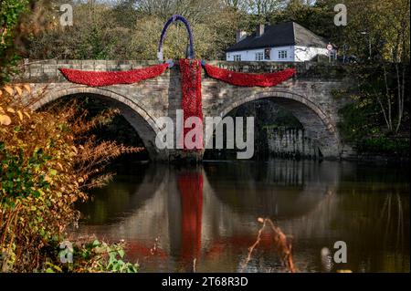 Bolton, UK. 9th November 2023. Locals from the village of Rigley, Bolton, have decorated the ancient Rigley Old Bridge over the River Irwell with a waterfall of red poppies and an arch of purple poppies as part of their annual Remembrance commemorations. Credit: Paul Heyes/Alamy Live News Stock Photo