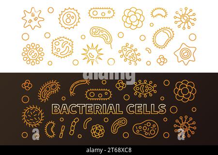 Bacterial cells 2 bright golden banners - vector concept colored illustration in thin line style Stock Vector