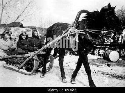 German tank regiment on the Eastern Front, 1941 Stock Photo - Alamy