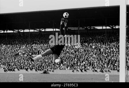 1st matchday of the Bundesliga 24.08.1963 TSV Muenchen 1860 - Eintracht Braunschweig 1:1 / action goalkeeper Petar Radenkovic (1860) . Parade in front of full grandstand [automated translation] Stock Photo