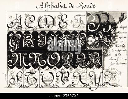 Initial letters in the Ronde (Round) script decorated with garlands ...