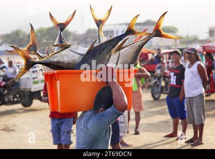 The fishing village Puerto Lopez at the Pacific Coast of Ecuador.Morning catch.Tuna fish.Sword fish.Marlin fish.Fish Butchery Stock Photo