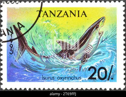 Cancelled postage stamp printed by Tanzania, that shows Shortfin Mako (Isurus oxyrinchus), circa 1993. Stock Photo