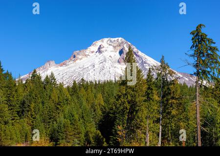 Elevation 11,249 makes Mt Hood the highest Volcanic Peak in Oregon one of many in the Cascade Mountain Range. Stock Photo