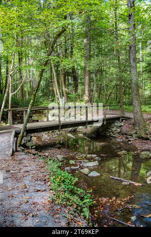 Foot bridge across the creek along the Fighting Creek Nature Trail originating at the Sugarland Visitors Center at Great Smoky Mountain National Park Stock Photo