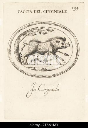 Wild boar hunting in ancient Rome. Hounds harry a boar that has been speared under a tree. In carnelian. Caccia del Cingniale. In corgniola. Copperplate engraving by Giovanni Battista Galestruzzi after Leonardo Agostini from Gemmae et Sculpturae Antiquae Depicti ab Leonardo Augustino Senesi, Abraham Blooteling, Amsterdam, 1685. Stock Photo